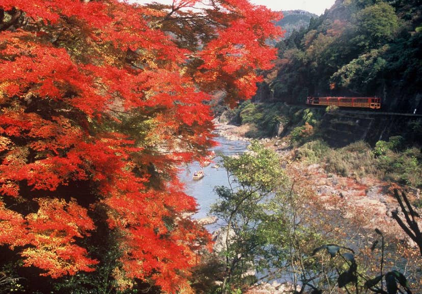 保津峡（保津川下り）の紅葉