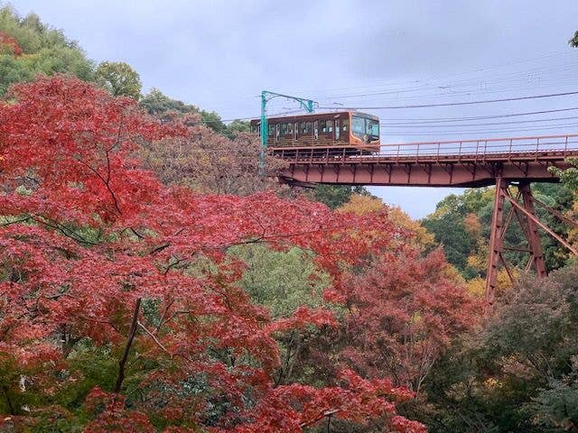 石清水八幡宮