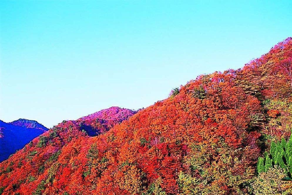 弥栄町野間地域一帯