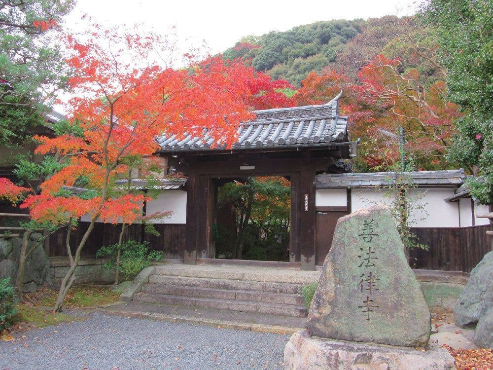 善法律寺（紅葉寺）の紅葉