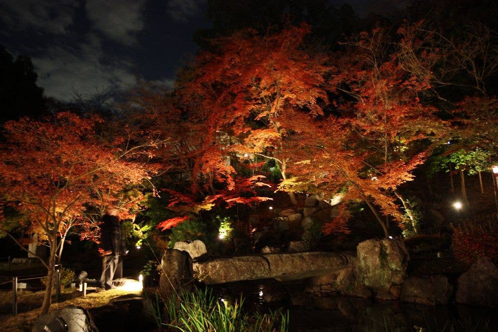 長岡天満宮の紅葉