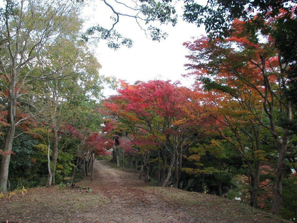 東山公園