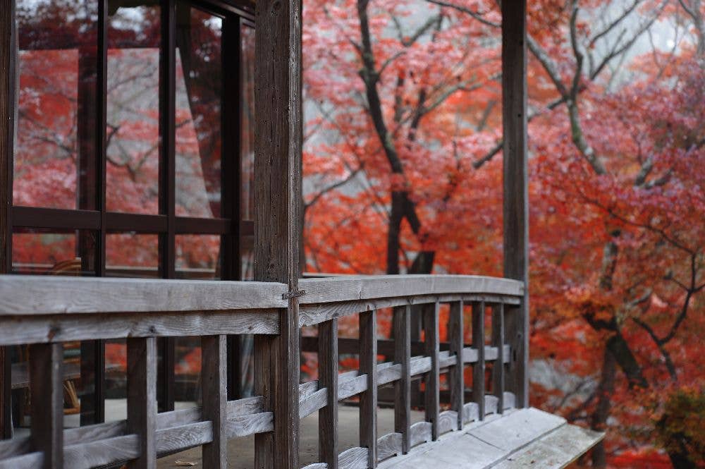 王地山公園