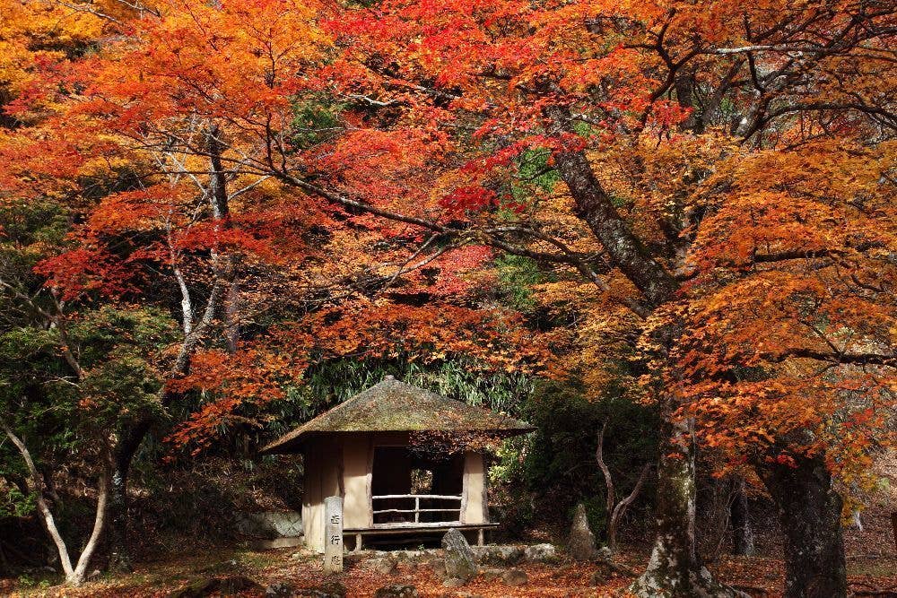 吉野山の紅葉