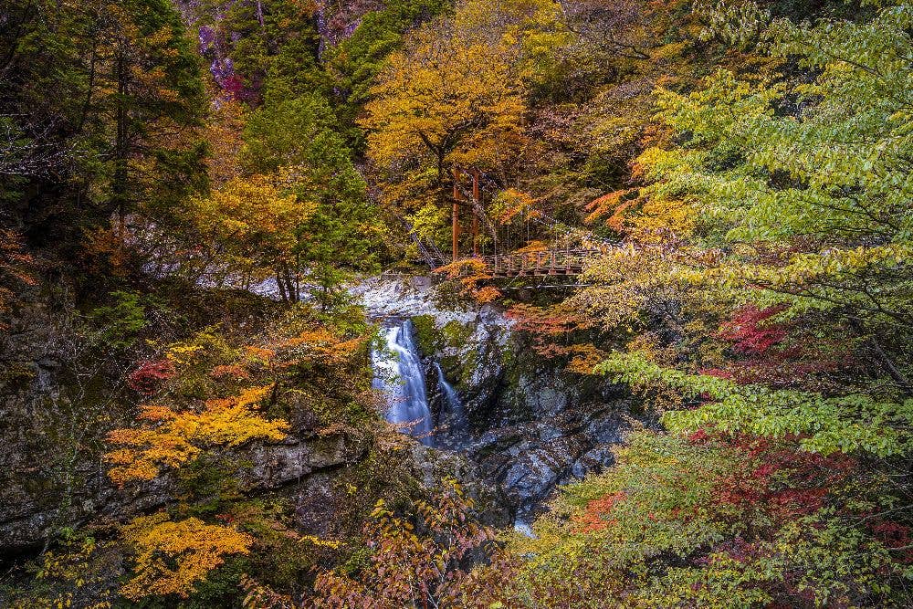 みたらい渓谷の紅葉