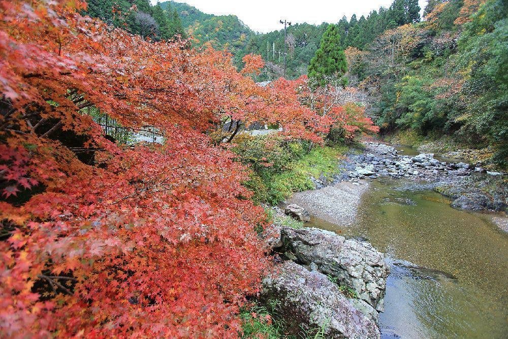 玉川峡