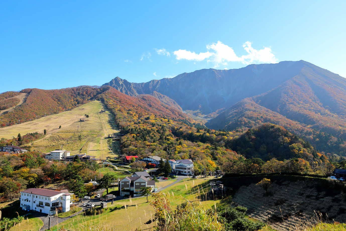 大山(大山寺)の紅葉
