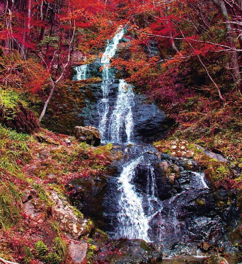 横野滝の紅葉