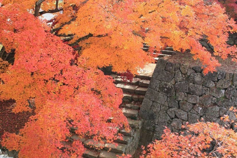 津山城（鶴山公園）の紅葉