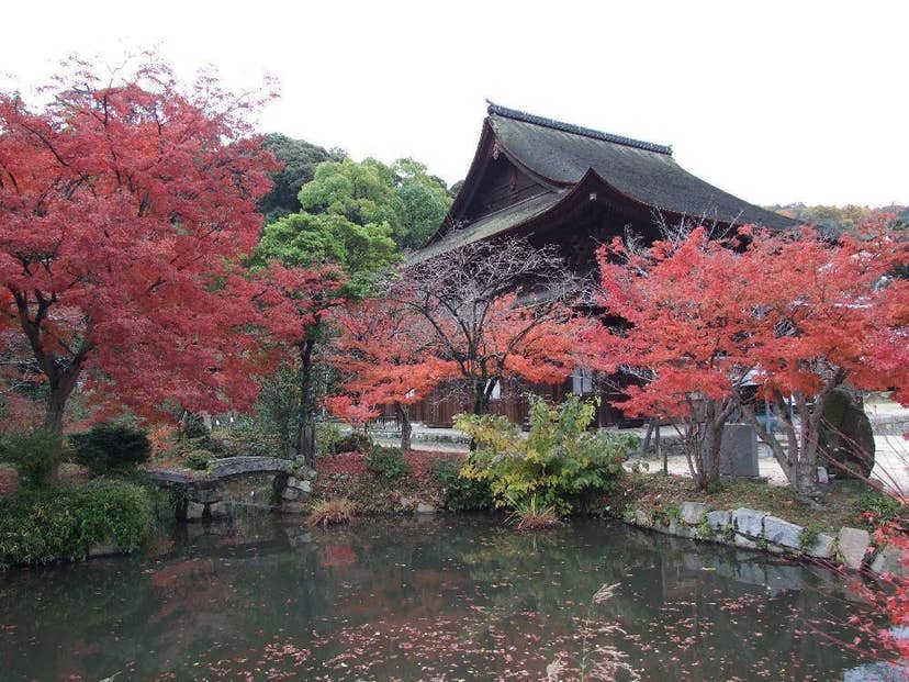 不動院