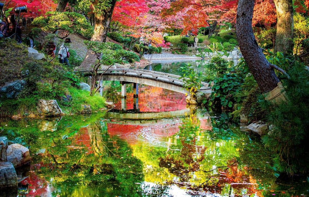 Autumn leaves in Shukkei-en Garden