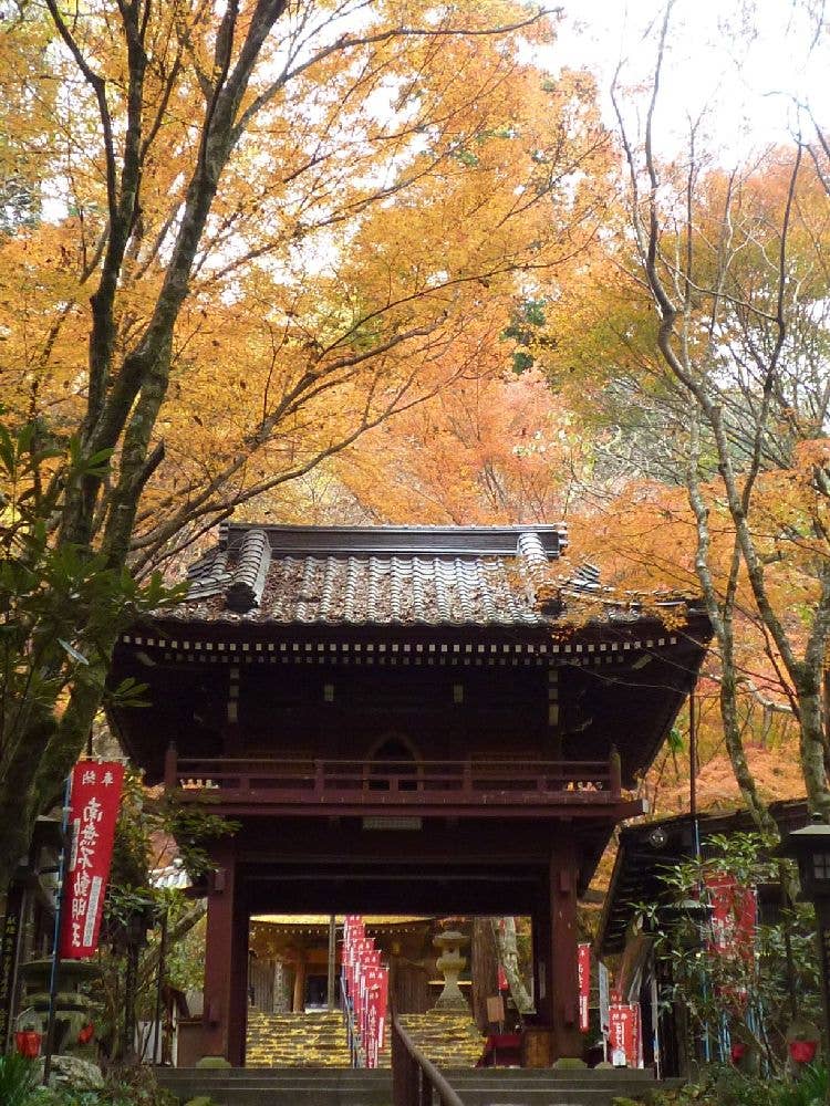 龍蔵寺