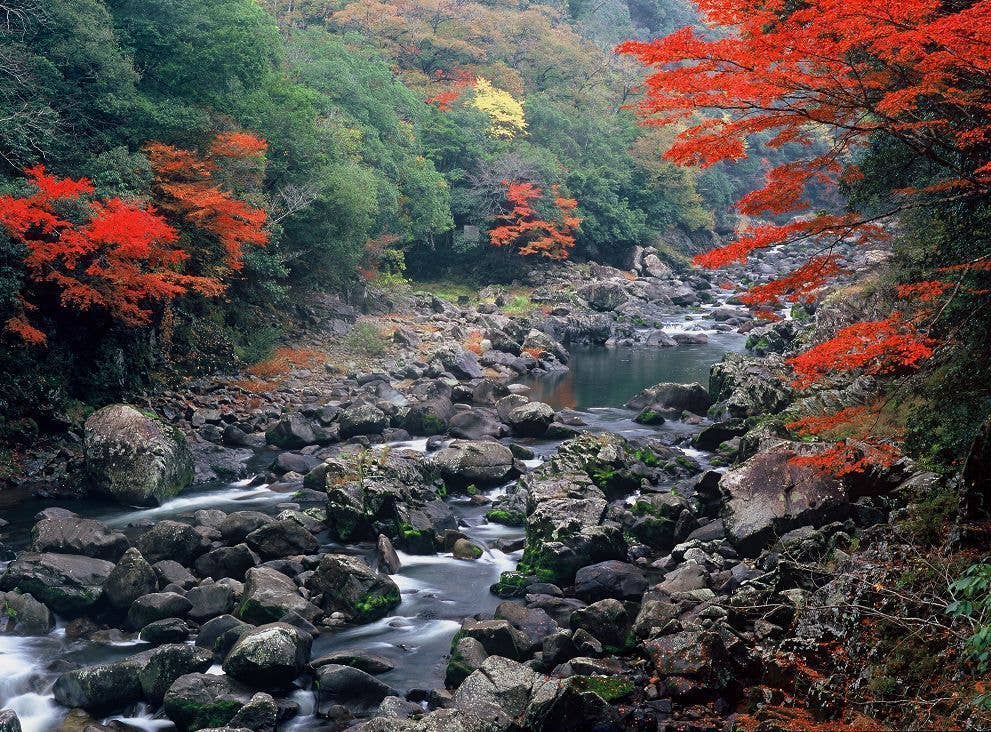 長門峡の紅葉