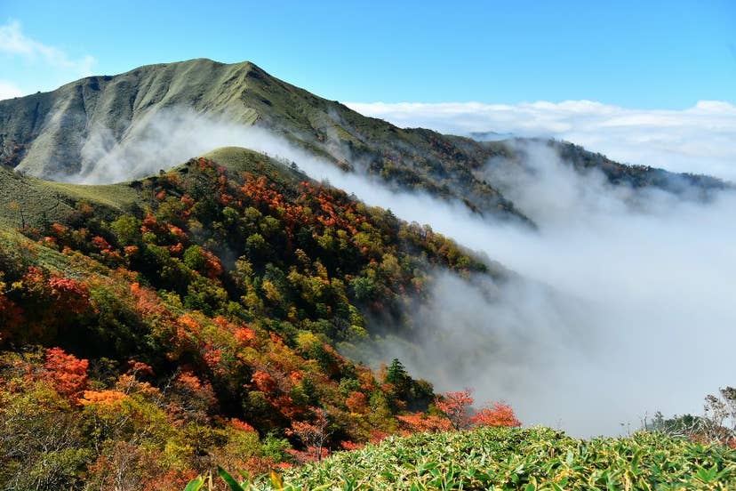 剣山の紅葉