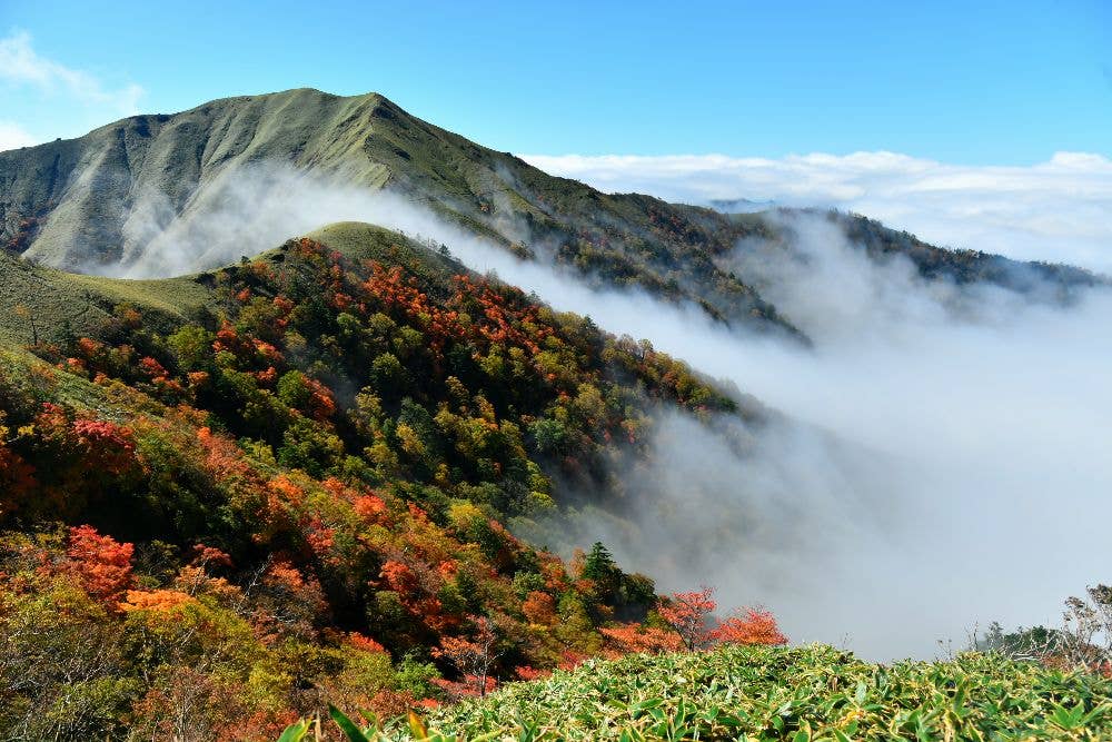 剣山の紅葉