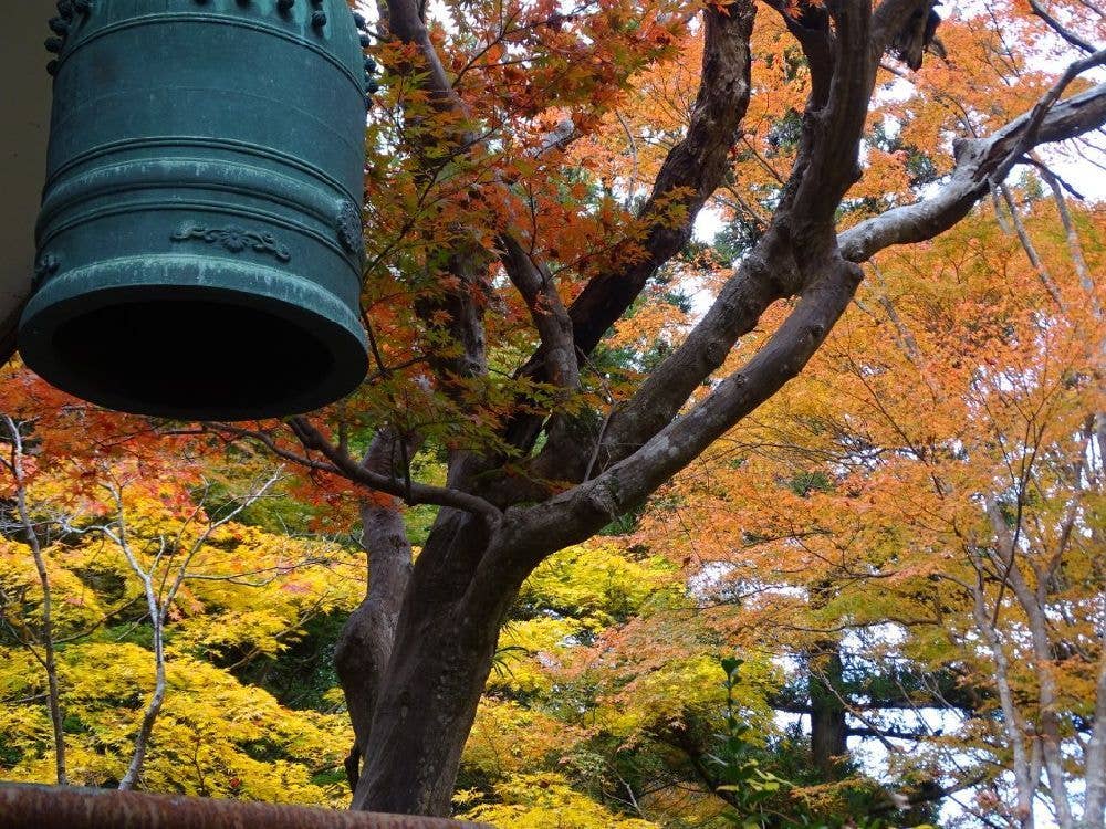 塩江温泉郷の紅葉