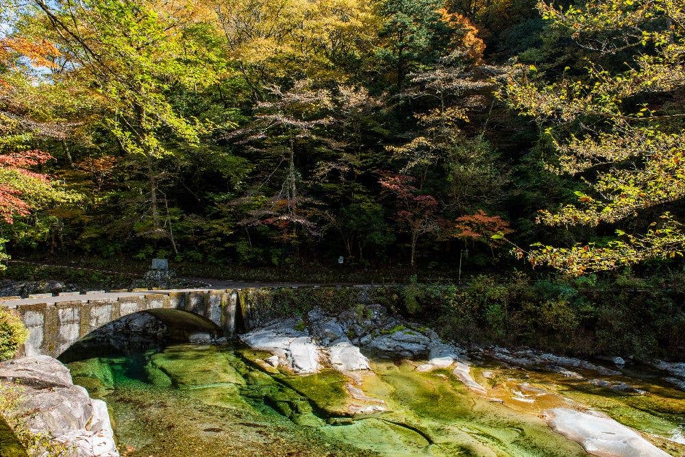 面河渓の紅葉