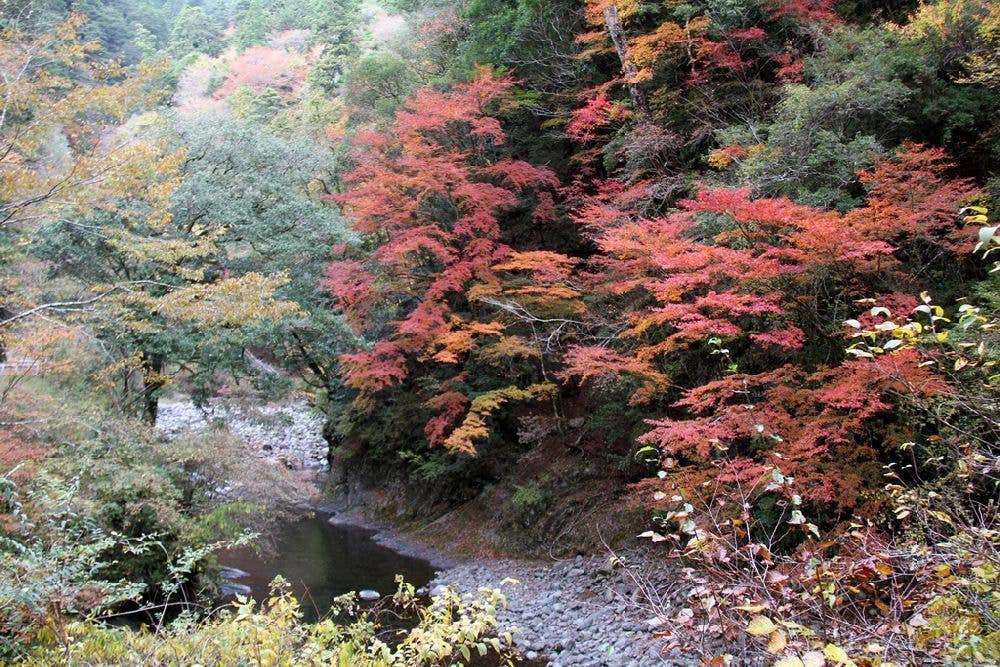 魚梁瀬西川渓谷