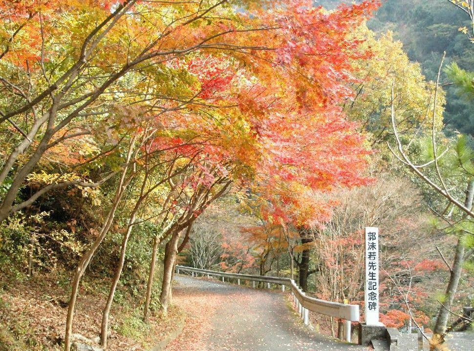 雄淵雌淵公園の紅葉