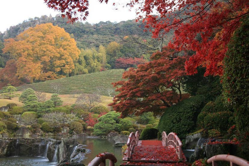 日本庭園「慧洲園」の紅葉