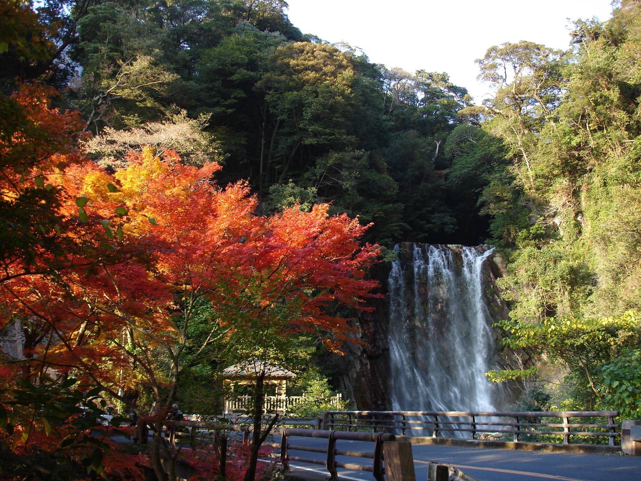 霧島(霧島温泉郷)の紅葉