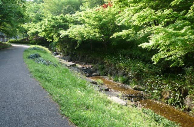 稲城中央公園