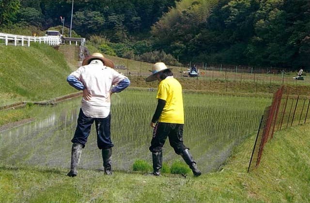 農家民宿かじか（農業体験）