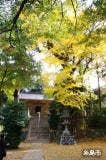 雷神社