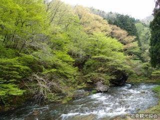 葛丸川渓流