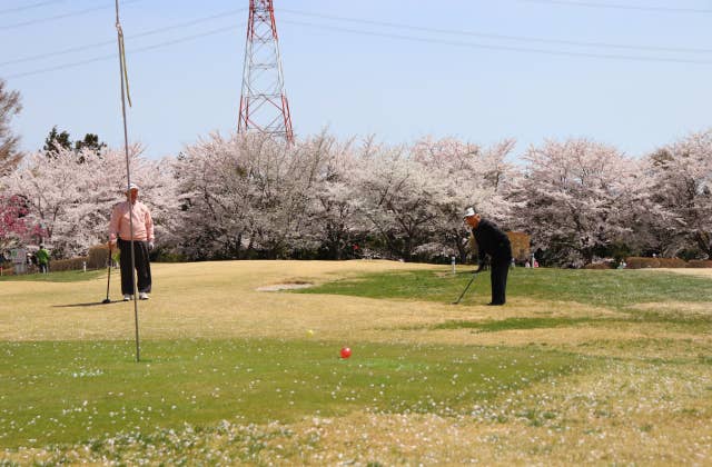 ふれあいの森公園パークゴルフ場