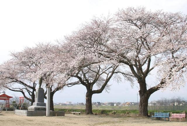 金子公園