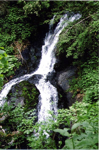 鹿鳴の滝