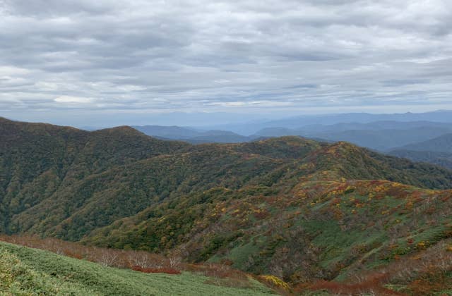 白神岳山頂付近