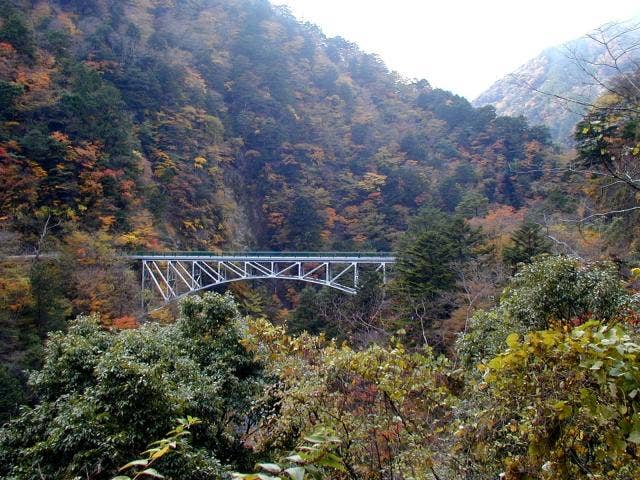 紅葉の中の飛龍橋