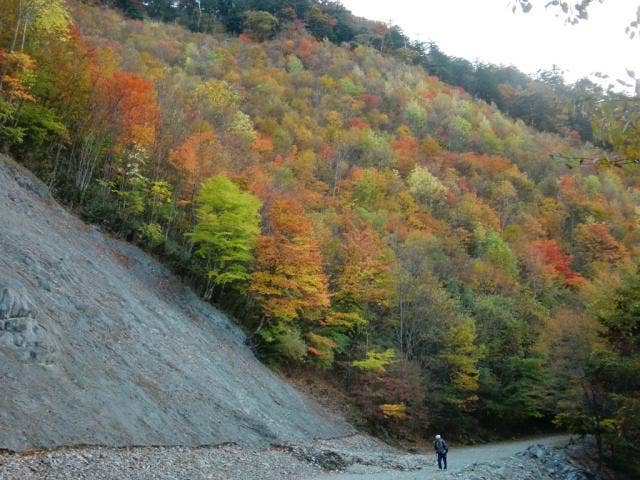 山犬段