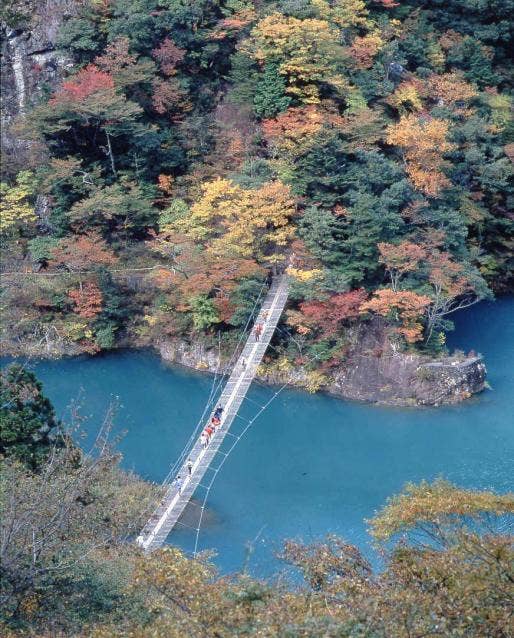 紅葉の中の夢に吊橋