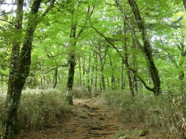 蕎麦粒山