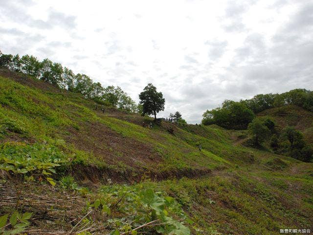 小稲沢わらび園