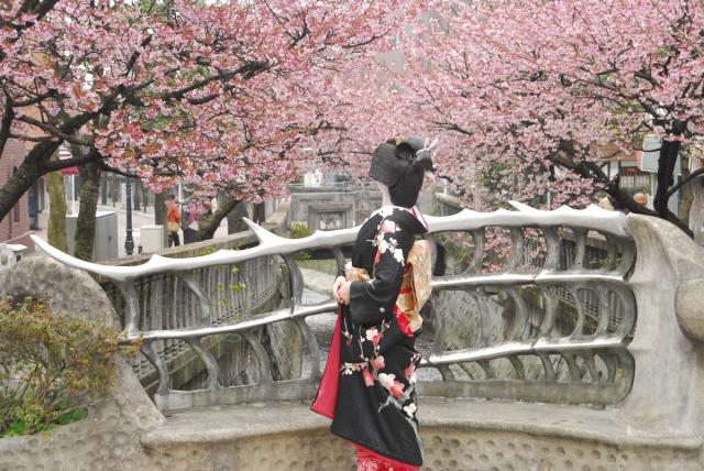 あたみ桜糸川桜まつり