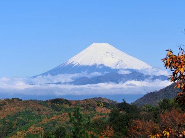 修善寺自然公園からの富士山