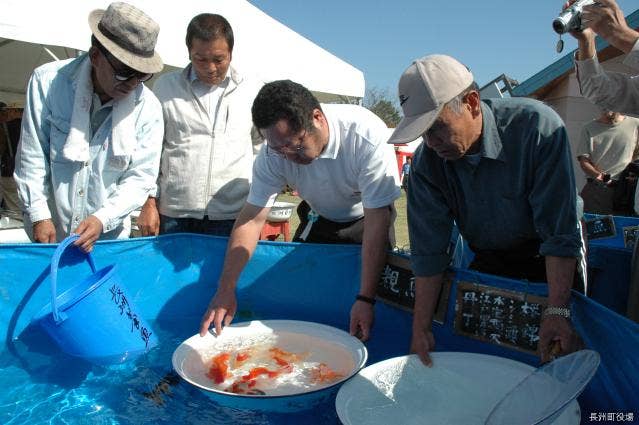 金魚品評会