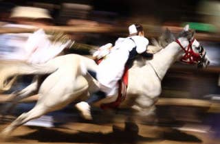 おまんと祭り流れる白馬