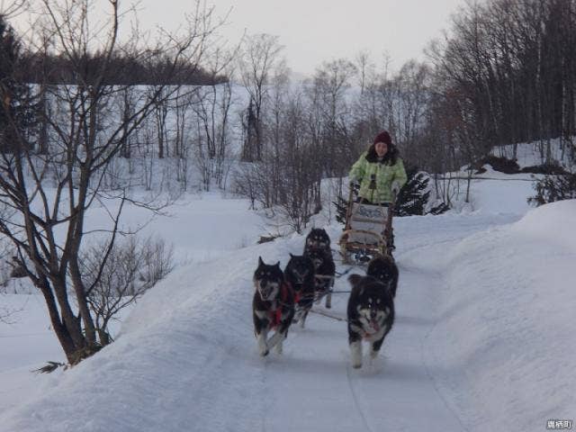 犬ぞり