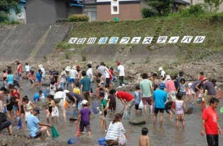 白山市