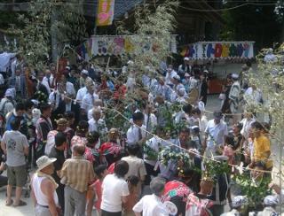 Tataki Festival