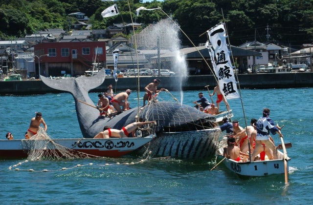 2025 Whale Festival