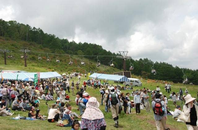 湯の丸高原つつじ祭