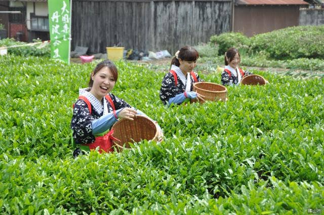 大国寺と丹波茶まつり