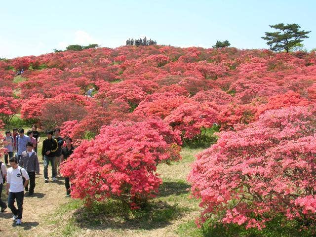 高柴山山頂