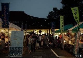 ホタルと銘茶まつり